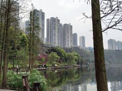 -重庆彩云湖湿地公园