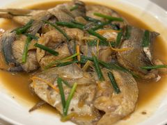 -华盛丰温州大排档(东三环南路店)