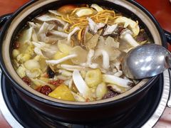 -菌之家野生菌火锅