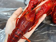 极品冰醉龙虾-指爱龙虾(金杨路总店)