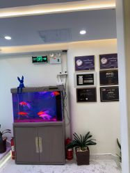 -海涛医疗美容·面部抗衰·注射美鼻