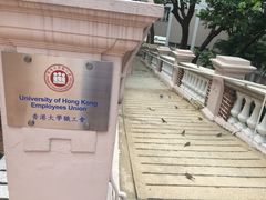 -香港大学