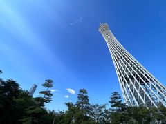-广州塔卢特斯法国旋转餐厅