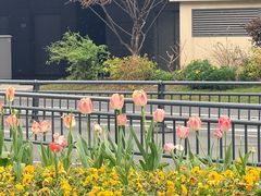 -杭州萧山国际机场