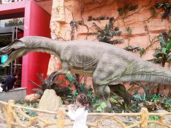 -宝燕乐园(闵行旗舰店)