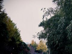 -南京城墙景区