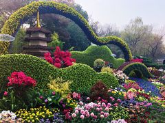 -西湖外事游船(花港观鱼码头)