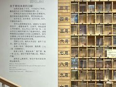 -猫的天空之城概念书店(北戴河蔚蓝海岸店)