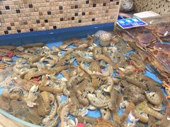 -双井轩(双井店)