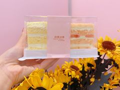 -爱纶(华南广场店)