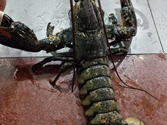 -粤盛海鲜平价店(洛溪食街店)