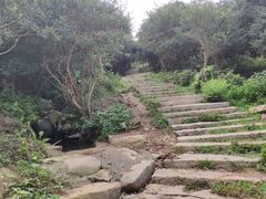 -大姆山草场
