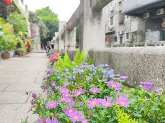 -黄埔古港