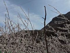 -云丘山景区