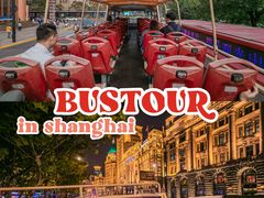 -BUS TOUR观光巴士