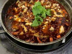 -重庆乌鱼庄·龙滋鲜(青羊大道店)