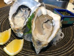 法国吉拉朵活生蚝-极料理(普罗理想国店)