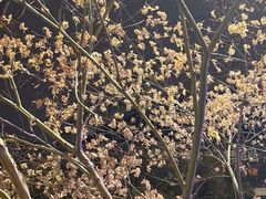 -义乌之心城市生活广场