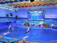 -多彩贵州城极地海洋世界