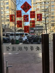 -安蒂护肤造型