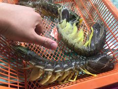 赖尿虾-班赞海鲜市场