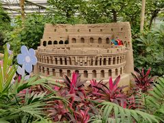 -南宫五洲植物乐园