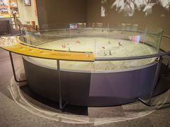 -湖南省地质博物馆