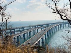 -星海湾跨海大桥