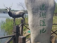 -溱湖国家湿地公园