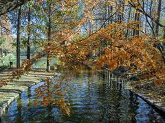 -上海共青森林公园