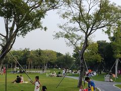 -宝安西湾红树林湿地公园