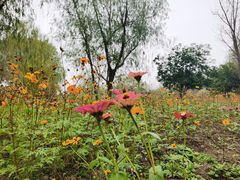 -梁鸿国家湿地公园