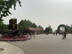 -大兴滨河森林公园