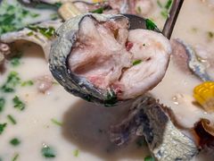 -鲜潭蒸汽石锅鱼(五道口购物中心店)