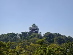 -王借岗森林公园