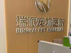 -瑞派康怡24h宠物医院·犬猫医疗中心·微创绝育(瑞景分院)