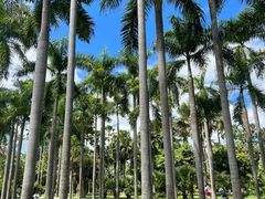 -中国科学院西双版纳热带植物园