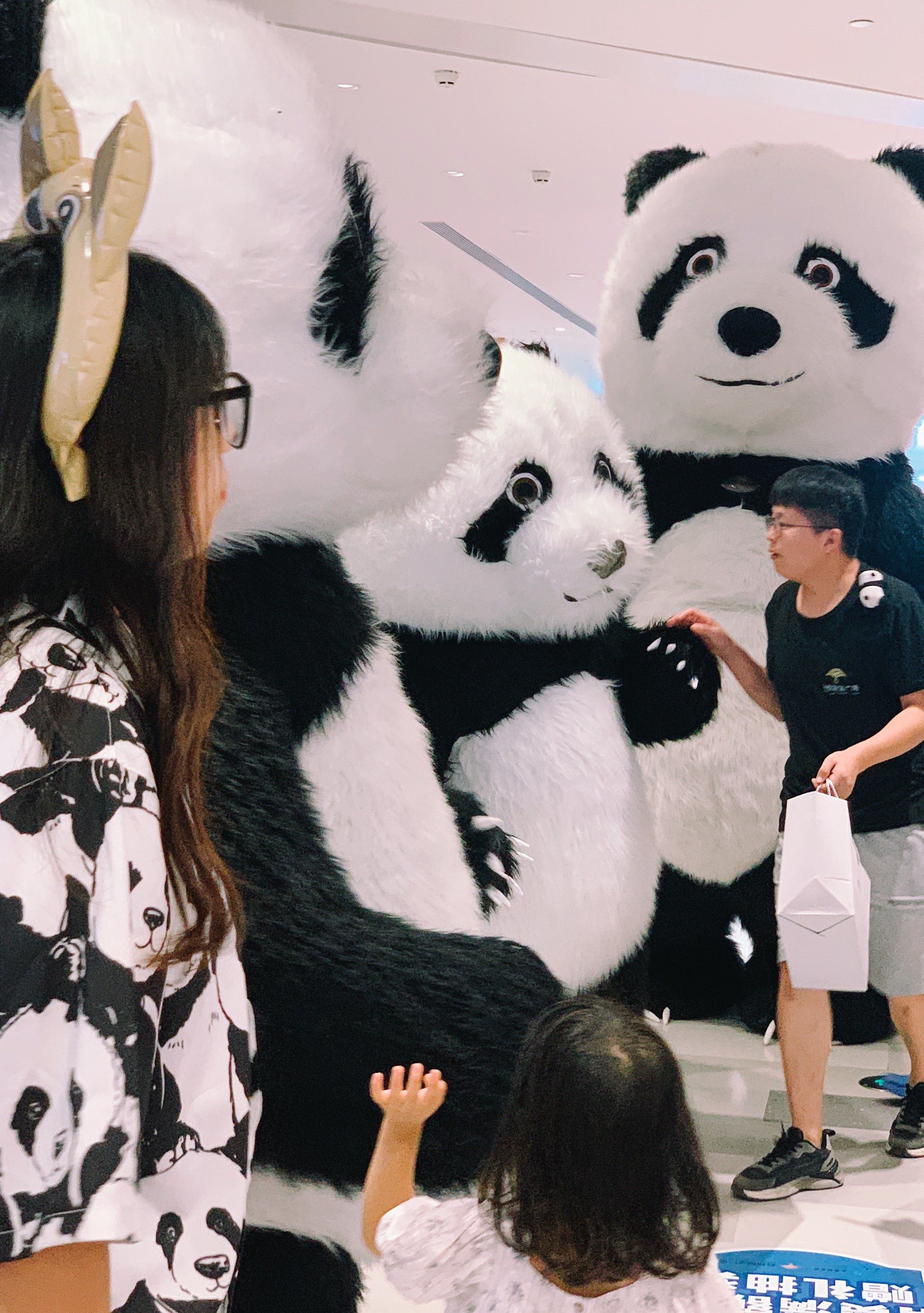 免费遛娃|被超萌大熊猫团团围住的快乐啊🐼