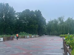 -莲花池公园