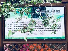 -御林古桑园