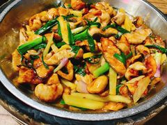 鸭嘴鱼-鲤鱼塘农家山庄