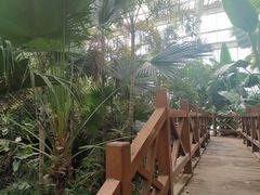-石家庄市植物园