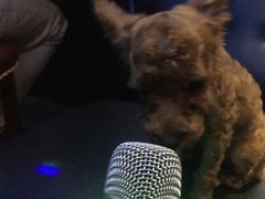 -钱莊Party连锁KTV(常平店)