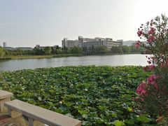 -江南大学(蠡湖校区)