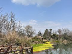 -桤木河湿地公园