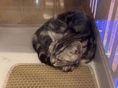 -老炮儿轰趴团建KTV桌游棋牌主题馆(五道口店（底商店))