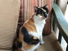 -BUND·FIVE外滩5号(天际店)