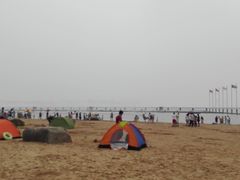-碧海金沙
