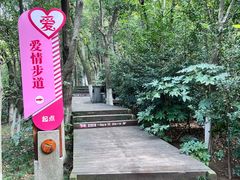 -天目湖山水园