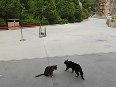 -炳灵寺世界文化遗产旅游区